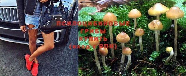 прущий лед Вязьма