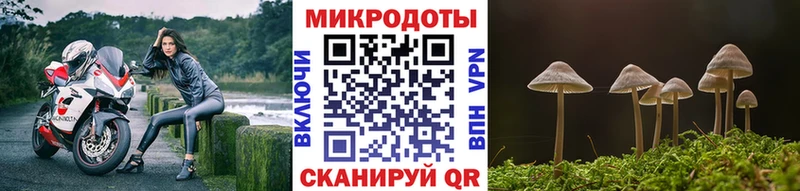 Галлюциногенные грибы Psilocybe  блэк спрут   Коломна 